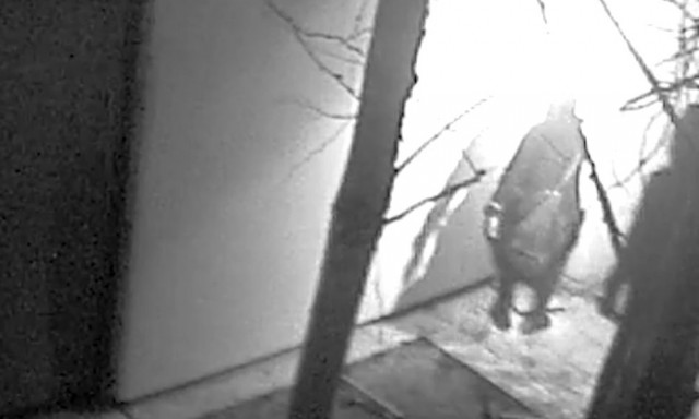 Κινηματογραφική διάρρηξη στο Μουσείο Drents στο Άσεν - Μέσα έξω σε τρία λεπτά