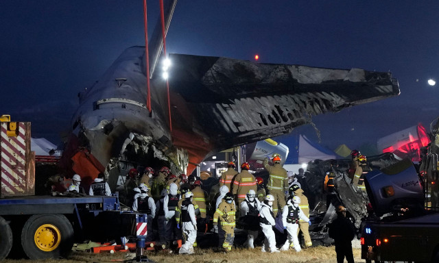 Νότια Κορέα: Χτυπήματα πουλιών και στους δύο κινητήρες του μοιραίου αεροσκάφους