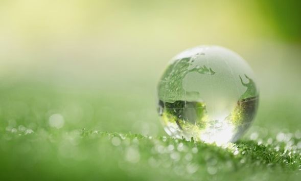 "Βιώσιμη και Καινοτόμος Ανάπτυξη: Η Bayer εστιάζει σε ένα Μέλλον με Υγεία και Τροφή  για Όλους"