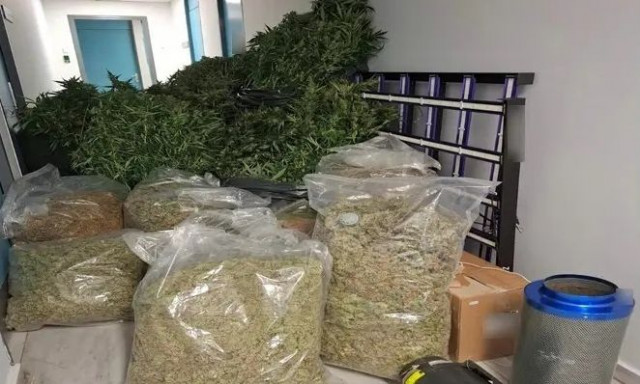 Εξαρθρώθηκε σπείρα που καλλιεργούσε και διακινούσε κάνναβη σε Θεσσαλονίκη και Χαλκιδική