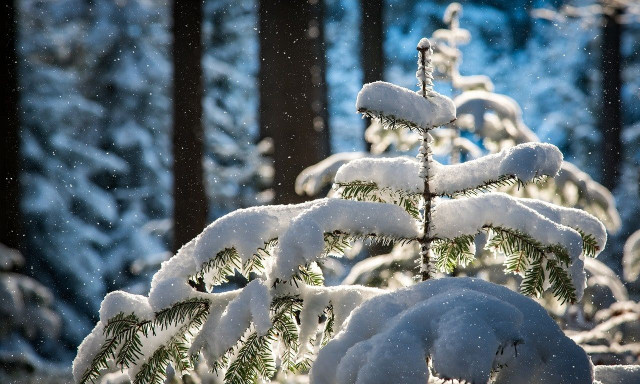 Καιρός: Ριζική αλλαγή του σκηνικού από αύριο - Πού θα σημειωθούν χιονοπτώσεις τα επόμενα 24ωρα