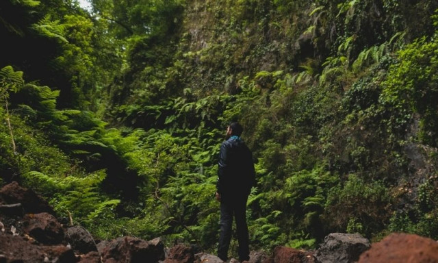 Τύπος επισκέφθηκε και τις 47 χώρες της Ευρώπης: Ποια δεν θα άλλαζε με τίποτα