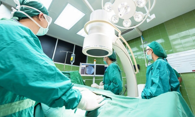 ΗΠΑ: «Πράσινο φως» σε δύο εταιρείες για κλινικές δοκιμές μεταμόσχευσης νεφρών από χοίρο σε άνθρωπο