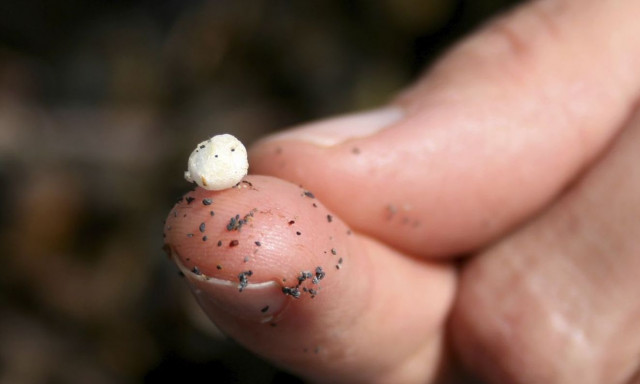 Έρευνα: Δείγματα ανθρώπινου εγκεφάλου περιέχουν νανοπλαστικά αξίας ενός ολόκληρου κουταλιού
