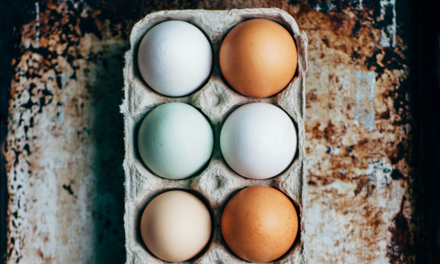 Απίστευτη κλοπή στις ΗΠΑ: Άρπαξαν 100.000 αυγά και εξαφανίστηκαν - Ποιος ο λόγος