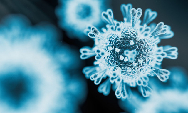 Μια θανατηφόρα επιδημία θα μπορούσε να ξεσπάσει σε μια από τις μεγαλύτερες χώρες της Γης