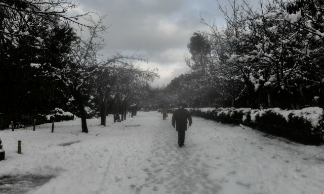 Καιρός: Τσουχτερό κρύο αύριο το πρωί στην Αθήνα - Προειδοποίηση Τσατραφύλλια