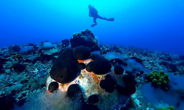 Σαντορίνη: Έρευνες δυτών στο υποθαλάσσιο ηφαίστειο του Κολούμπο - «Μεγάλη έκπληξη» το φαινόμενο