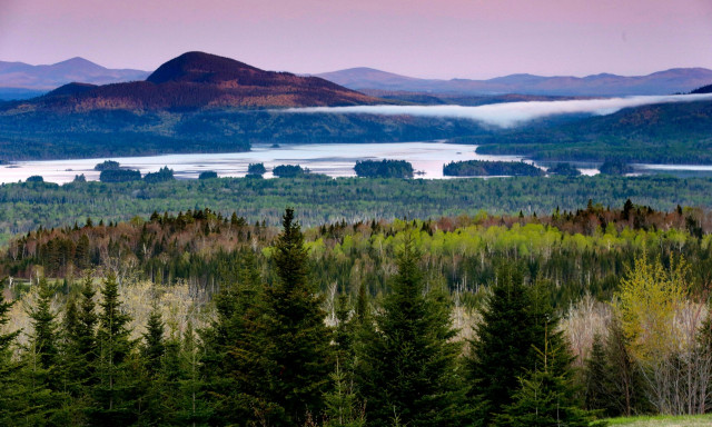 Αυτές είναι οι 15 μεγαλύτερες σε έκταση χώρες: Τι συμβαίνει με Καναδά και Σαουδική Αραβία