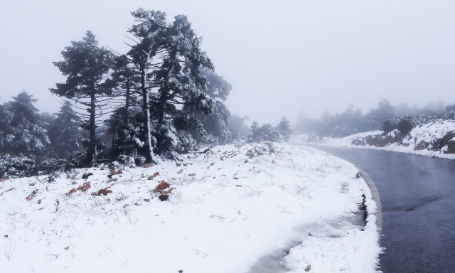 Πάρνηθα: Στα «λευκά» ο εθνικός δρυμός - Έκλεισε ο δρόμος για το τελεφερίκ - Δείτε εικόνες