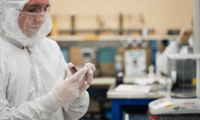 Επιστήμονες του Χάρβαρντ αποκαλύπτουν πώς τα βακτήρια του εντέρου τροφοδοτούν φλεγμονή και κατάθλιψη