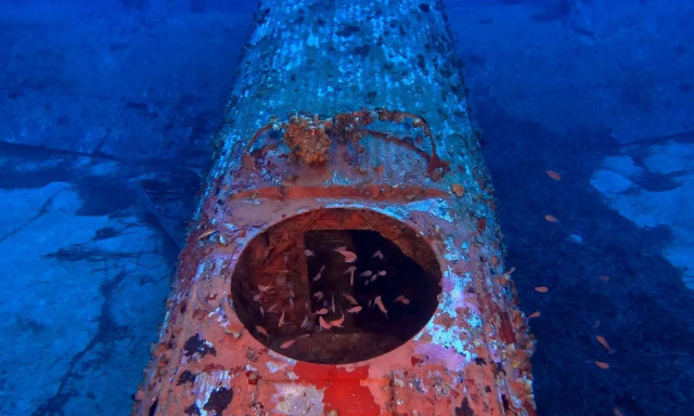 Δύτες εξερεύνησαν βυθισμένο γερμανικό αεροσκάφος ανοιχτά της Κέας - Δείτε το βίντεο