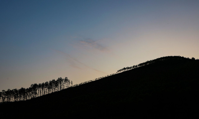 Βιετνάμ: «Κοιμώμενο» πλάσμα με «αγκάθια σαν στιλέτο» - Βρέθηκε νέο είδος