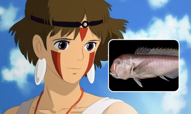 Κίνα: Νέο είδος ψαριού πήρε το όνομά του από χαρακτήρα άνιμε
