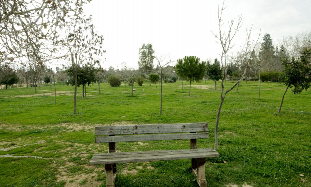 Χαρδαλιάς: «Δεσμεύτηκα ότι τα πάρκα της Αττικής δεν θα αφεθούν στην εγκατάλειψη και την αδιαφορία»