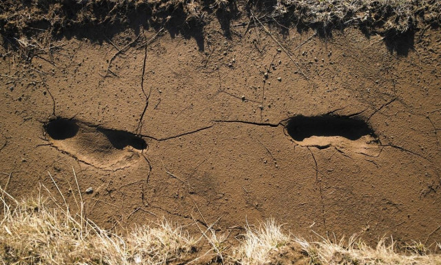 Επιστήμονες ανακάλυψαν από πού προέρχονται οι πρόγονοι της Ευρώπης