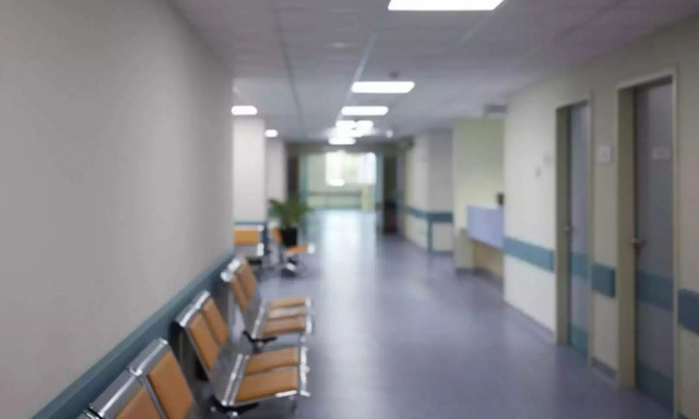 Βόλος: Εσπευσμένα στο Νοσοκομείο 19χρονος μετά από τσίμπημα οχιάς