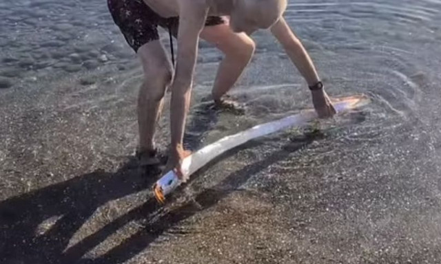 Το ψάρι "της Ημέρας της Κρίσεως" βρέθηκε σε παραλία των Καναρίων Νήσων