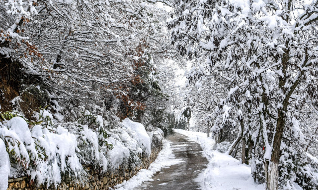 Κακοκαιρία Coral: Ντύθηκε στα «λευκά» το Πήλιο - Εικόνες από την χιονισμένη Μαγνησία