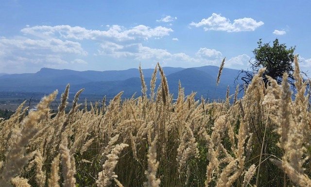 Αντιμετωπίζοντας την κλιματική αλλαγή στη Μεσόγειο – Οι προκλήσεις στον τουρισμό