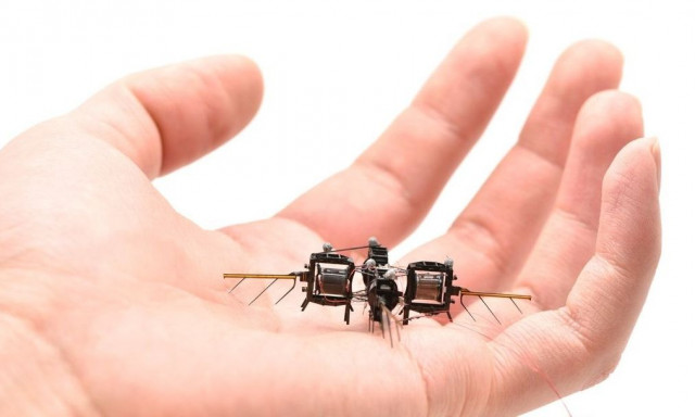 Σμήνη από ρομποτικά έντομα – drones που γονιμοποιούν τα φυτά κατασκευάζει το ΜΙΤ