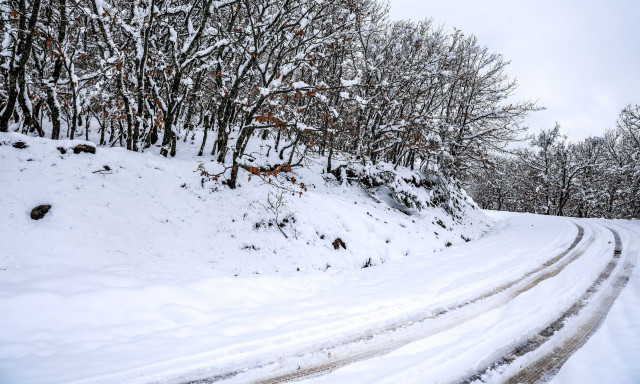 Καιρός: Επελαύνει η κακοκαιρία Coral - Κρύο, χιόνια και ισχυροί βοριάδες