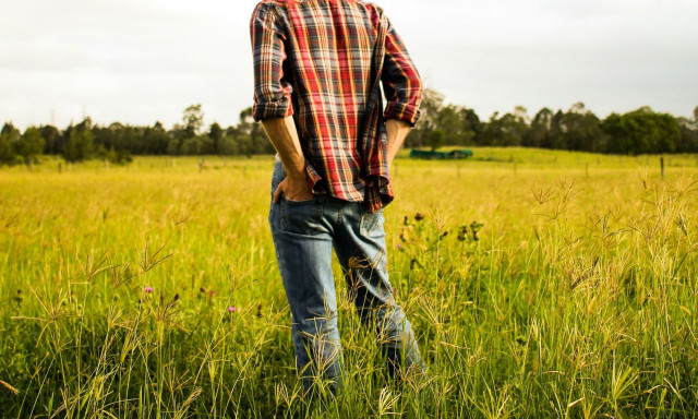 Υπουργείο Αγροτικής Ανάπτυξης: Νομοθετείται το έκτακτο επίδομα για τους κτηνιάτρους