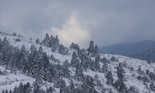 Κακοκαιρία Coral: Ξεκίνησε η χιονόπτωση στην Πεντέλη