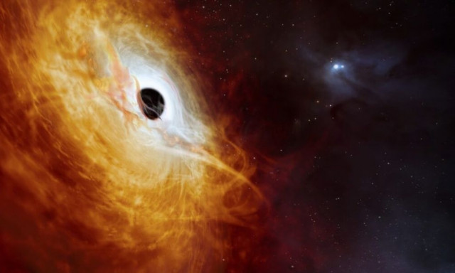 Νέα μελέτη: Η εμφάνιση της νοημοσύνης δεν είναι τυχαίο γεγονός - Η πιθανότητα εξωγήινων πολιτισμών