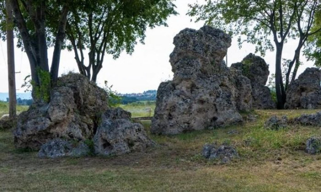Νυμφόπετρα: Το δάσος με τα περίτεχνα απολιθώματα