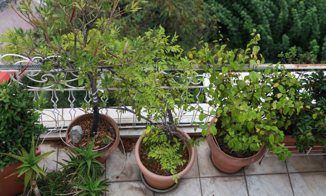 Τραγικός θάνατος για 60χρονη στην Χαλκιδική - Υποχώρησαν τα κάγκελα και έπεσε στο κενό