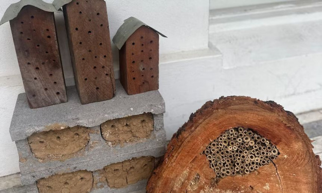 Ο «Άνθρωπος-Μέλισσα» σώζει τοπικά είδη της Αυστραλίας, χτίζοντας «ξενοδοχεία»