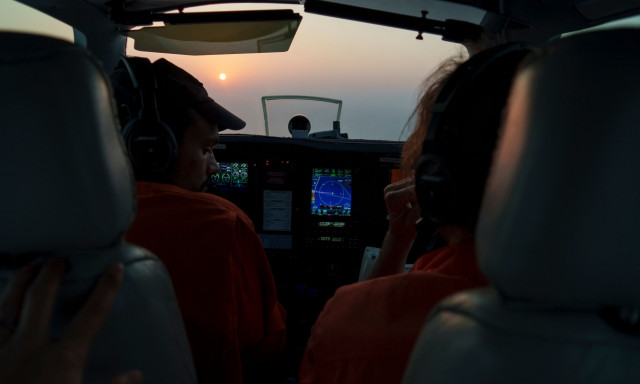 Ισπανία: Ταραντούλα δάγκωσε τον αλλεργικό στις αράχνες πιλότο - Αναγκαστική προσγείωση