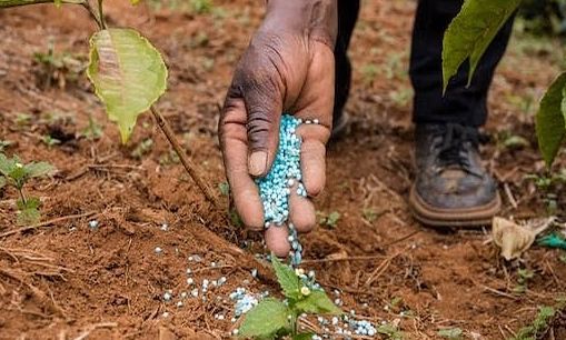 Η αγροχημική βιομηχανία της Ινδίας κερδίζει έδαφος στην Ευρώπη