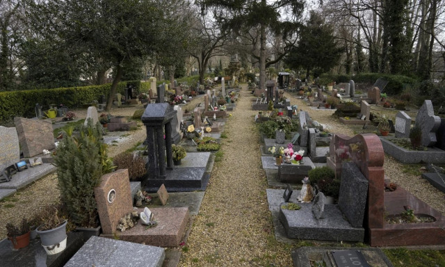 Πώς να αντιμετώπισετε την απώλεια ενός κατοικιδίου