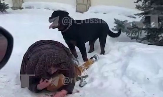 Αφηνιασμένο ροτβάιλερ επιτίθεται σε παιδί - Οι αγωνιώδεις προσπάθειες της μητέρας να το γλιτώσει