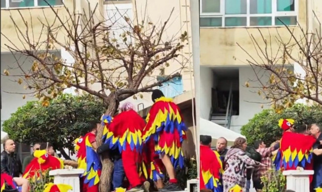 «Ροντέο» στο καρναβάλι του Ρεθύμνου - Άγριο ξύλο μεταξύ καρναβαλιστών