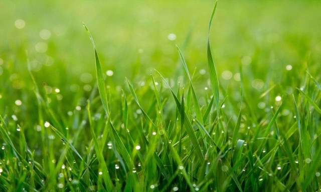 Touch Grass: Η εφαρμογή που σε «αναγκάζει» να βγεις έξω και να σταματήσεις το σκρολάρισμα