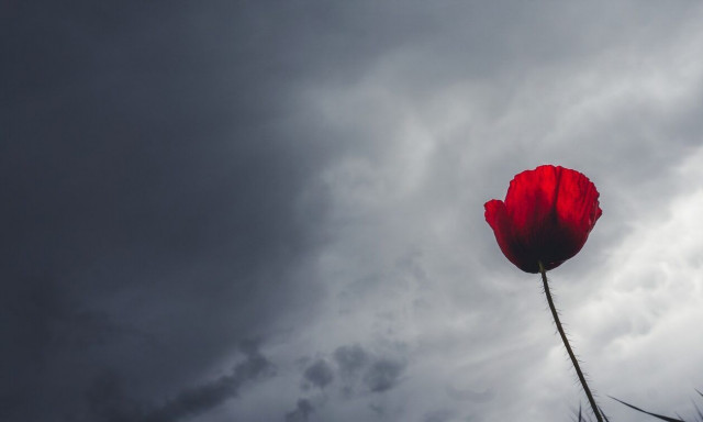 Καιρός: Θερμές αέριες μάζες «κυκλώνουν» την Ελλάδα - Έρχονται 25άρια και αφρικανική σκόνη