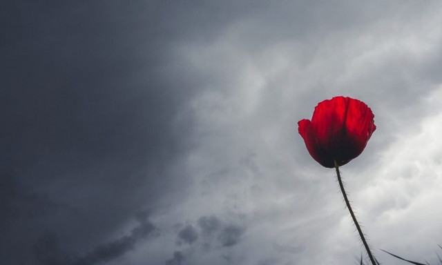 Καιρός: Θα ΄ναι σαν να μπαίνει η Άνοιξη... μέχρι να έρθει η «χειμερινή φωτοβολίδα»