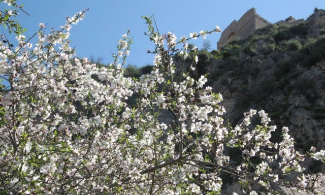 Καιρός: Ο Μάρτιος θα μοιάζει με Μάιο - Πότε ξεκινά η θερμή εισβολή στη χώρα μας