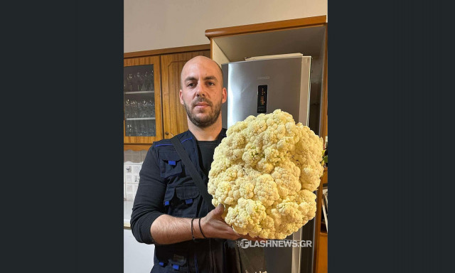 Χανιά: Κουνουπίδι γίγας «ξεφύτρωσε» στα Κεραμειά