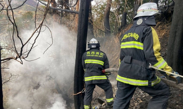 Ιαπωνία: Υπό έλεγχο τέθηκε η χειρότερη δασική πυρκαγιά των τελευταίων 50 ετών