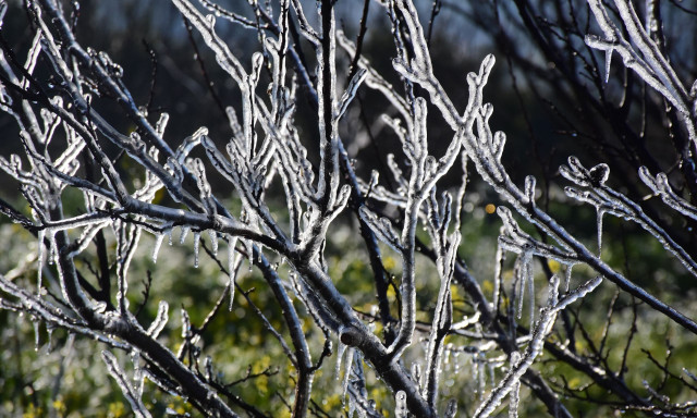 Καιρός: Στον «πάγο» η χώρα το πρωί της Δευτέρας - Που σημειώθηκαν οι χαμηλότερες θερμοκρασίες