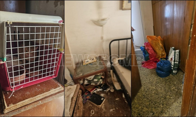 Φρίκη στα Εξάρχεια: Συλλέκτρια είχε το πτώμα της μητέρας της σε σακούλα μαζί με κακοποιημένες γάτες
