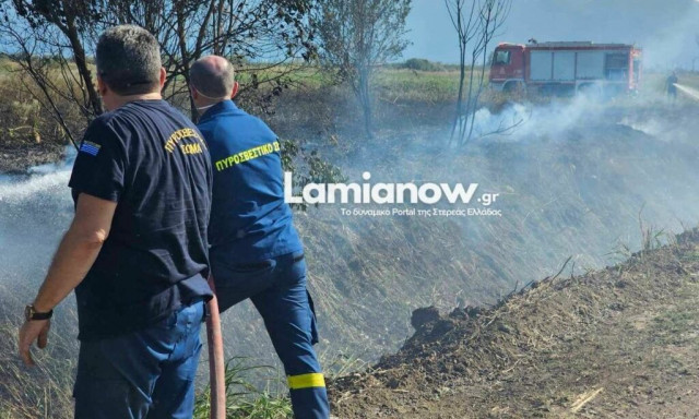 Υπό πλήρη έλεγχο η φωτιά στα Καμένα Βούρλα