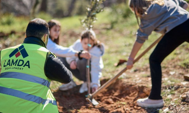 Δράση αποκατάστασης από τις πυρκαγιές στο Δήμο Πεντέλης από την ομάδα της LAMDA