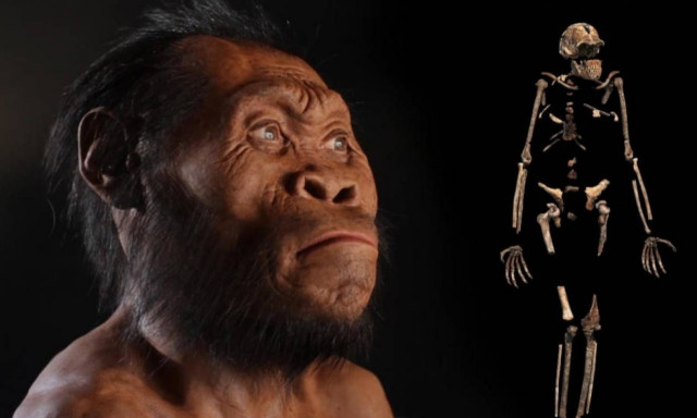 Αρχαιολογία: Ανακαλύφθηκαν τα παλαιότερα γνωστά οστά ανθρώπινου προσώπου στη δυτική Ευρώπη