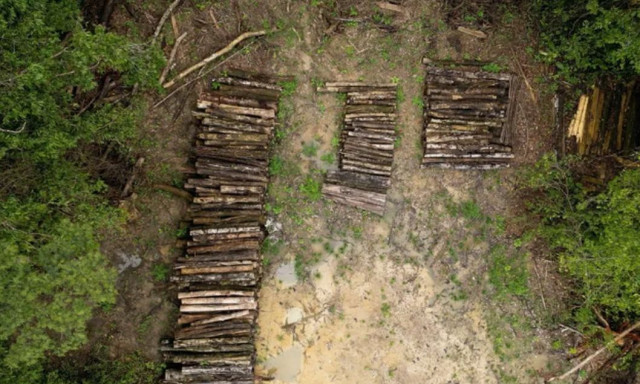 Δάσος του Αμαζονίου υλοτομήθηκε για την κατασκευή δρόμου για τη σύνοδο κορυφής για το κλίμα