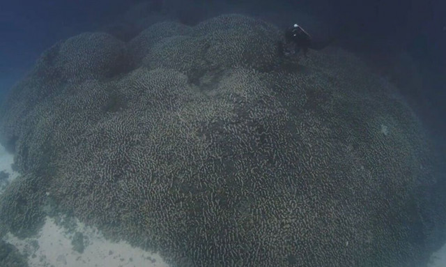 Γιγαντιαίο «πλάσμα» 300 ετών και πλάτους 34 μέτρων φαίνεται από το διάστημα